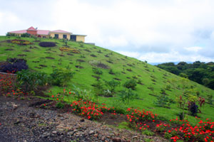 The slope below the owner's house is the site of thickly planted landscaping. 